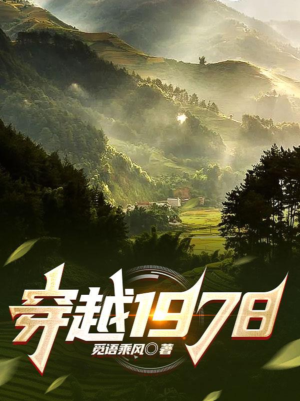 穿越78十年代小说